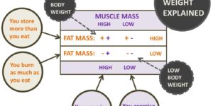 bodyweight explained by FFT