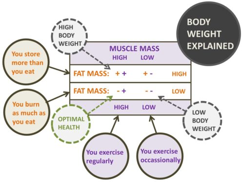 bodyweight explained by FFT