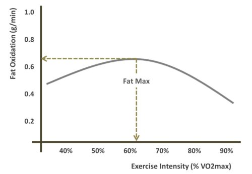 fatmax by intensity2 fatmax by intensity2