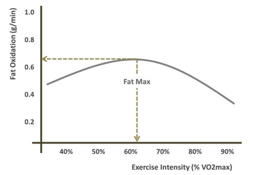 fatmax by intensity2