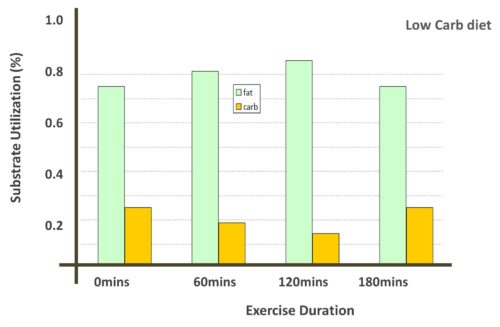 lowcarbs