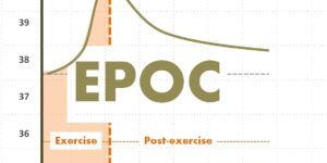 epoc 2